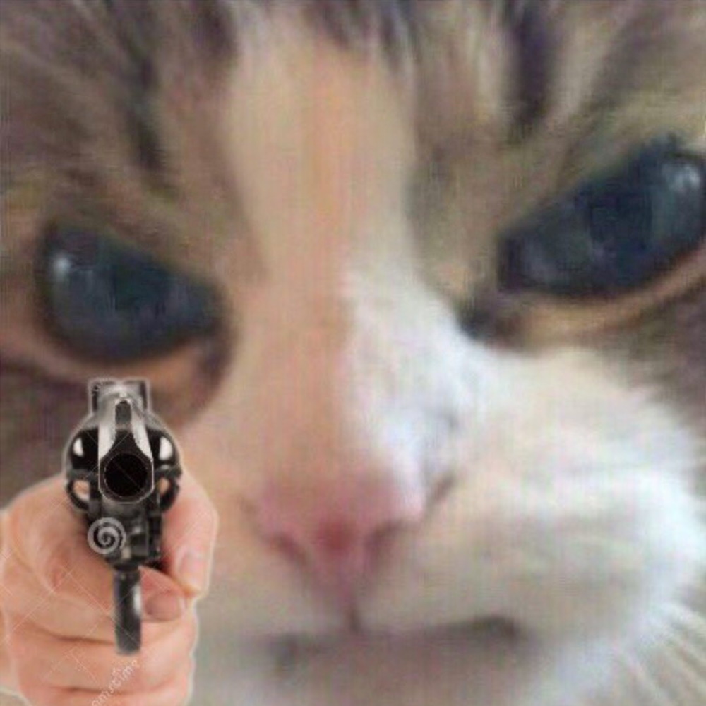 cat_gun.jpg