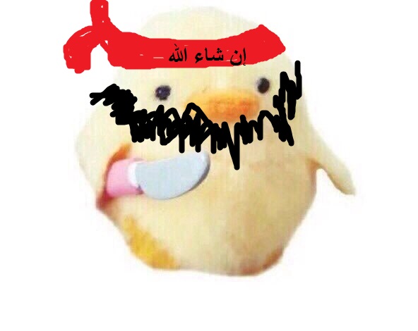 -cd3Ous7ruo.jpg