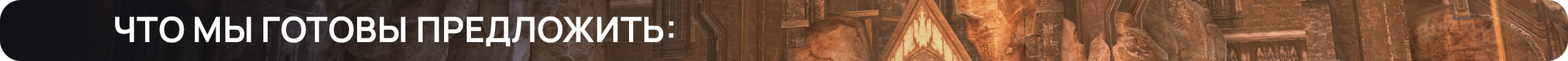 Что мы готовы предложить (1).png