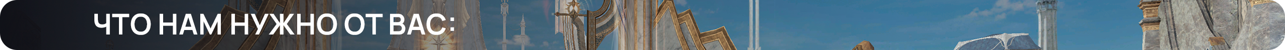 Что нам нужно от вас.png
