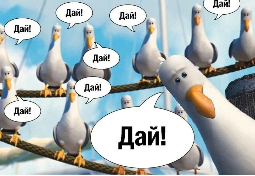 дай.jpg