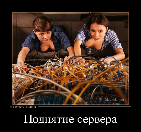demotivatorium_ru_podnjatie_servera_110020.jpg