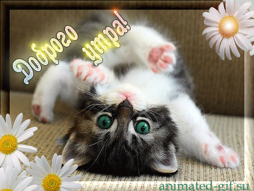 доброе утро.gif