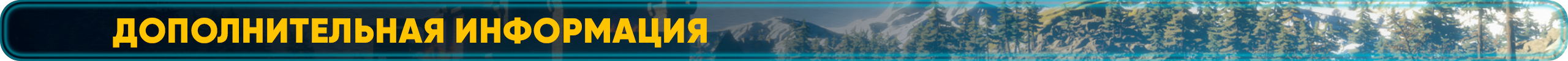 Дополнительная информация.png