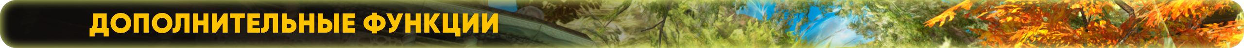 дополнительные.png