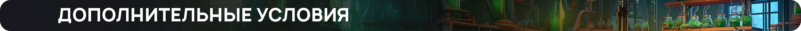 дополнительные-условия.png