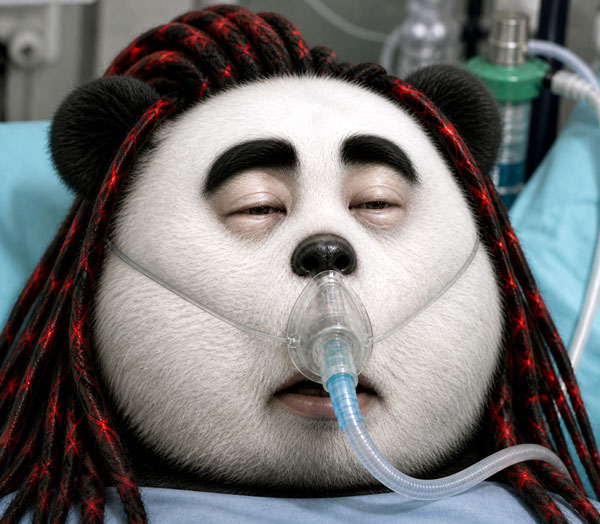 dredy-bayuma.jpg