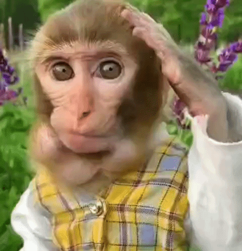 ezgif-6d37c0433b7b478c.gif