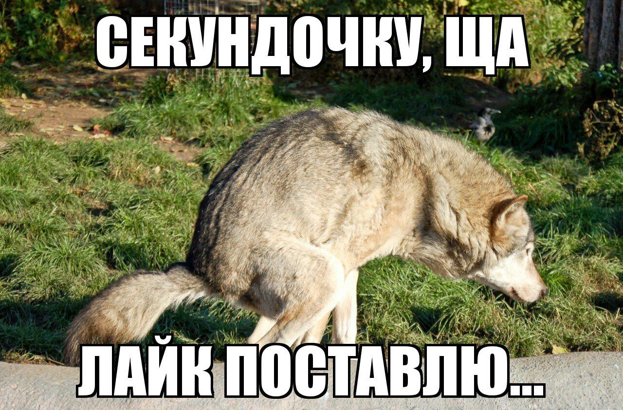 f04ca4ef7fa6f12098544cbda86c06d8.jpg