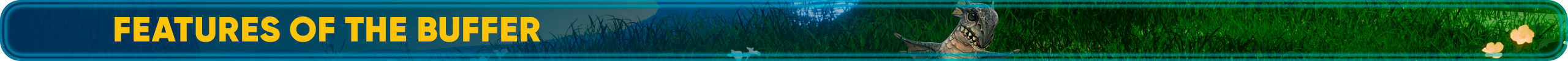 Features of the buffer.png