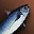 fish_i02.png
