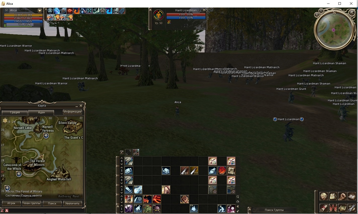 Forest of Mirrors 1.jpg