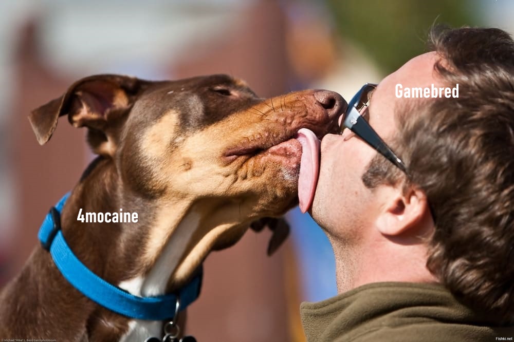 форум кокаин.jpg