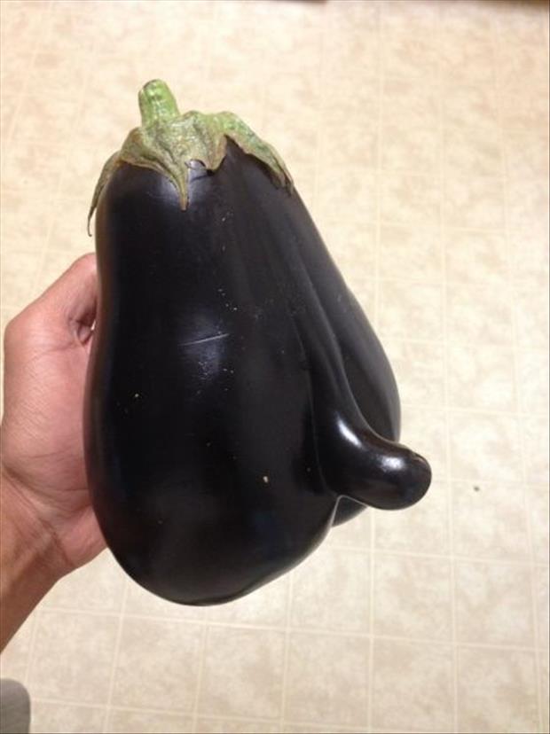 funny-eggplant-penis-01.jpg