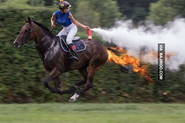 funny-horse-on-fire.jpg