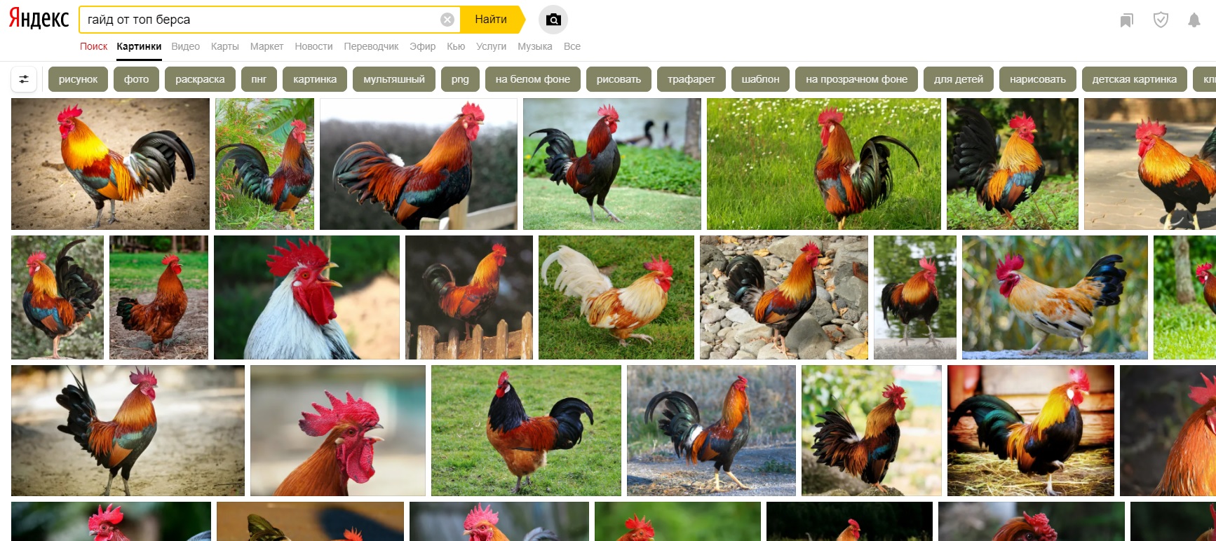 гайд от берса.jpg