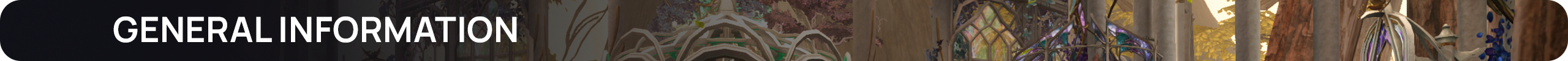 General information.png