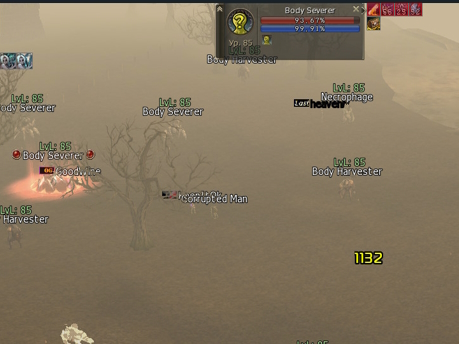 gl2.jpg