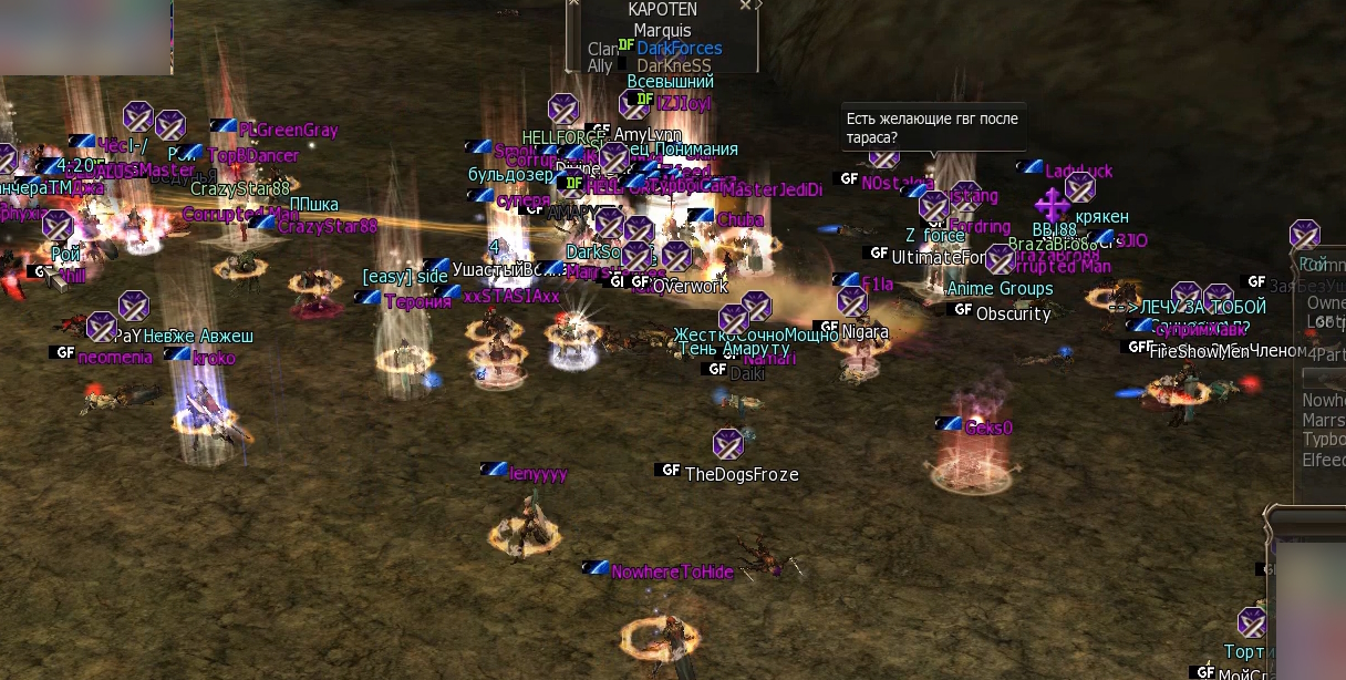 gladi3.jpg