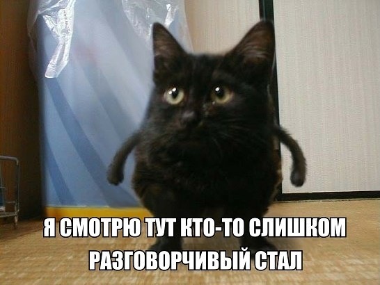 i (1).jpeg