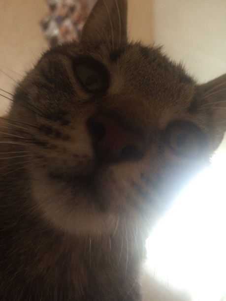 image.jpeg