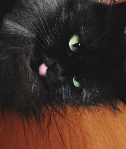 image.jpeg