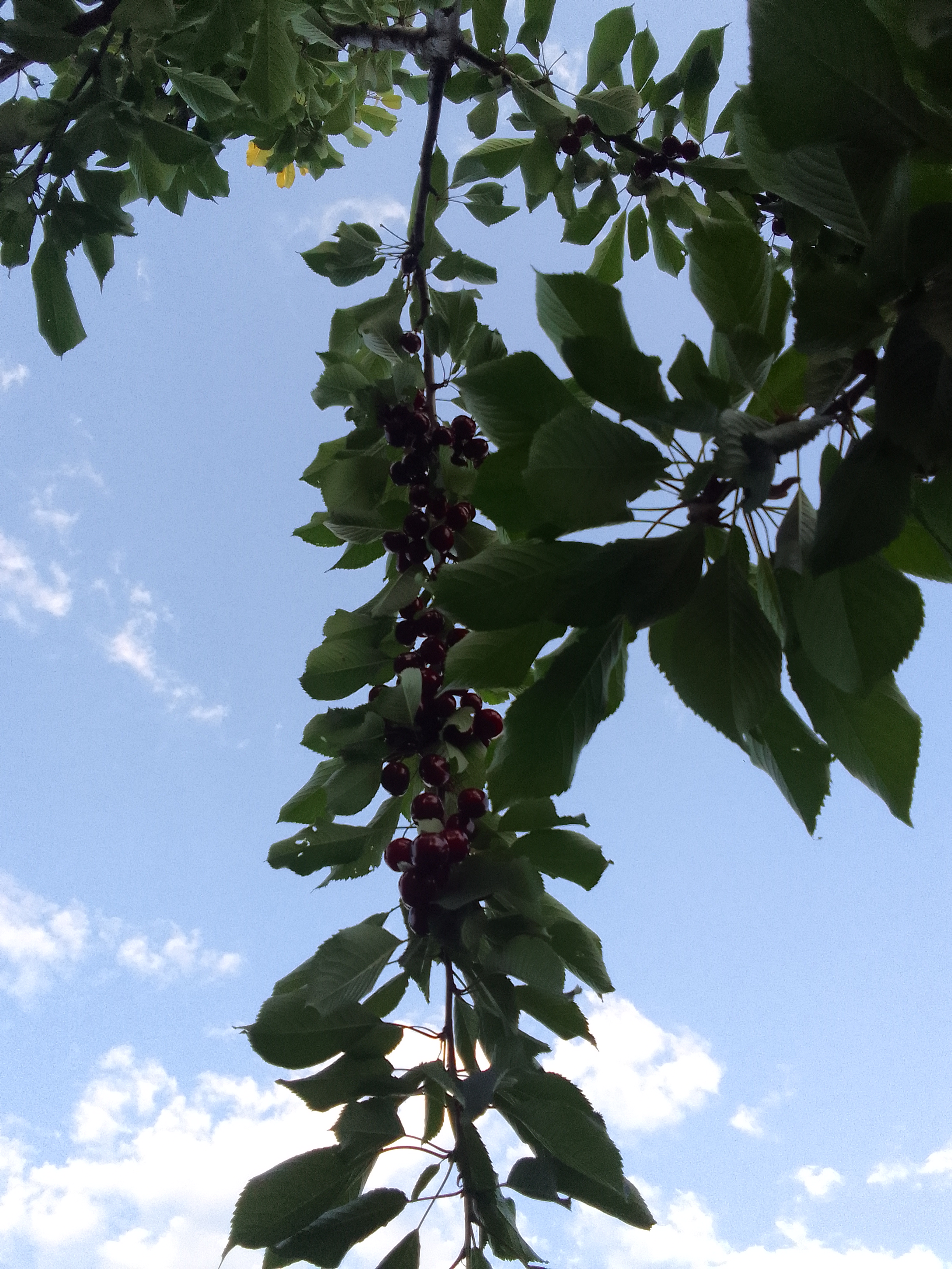 IMG_20220617_194706.jpg
