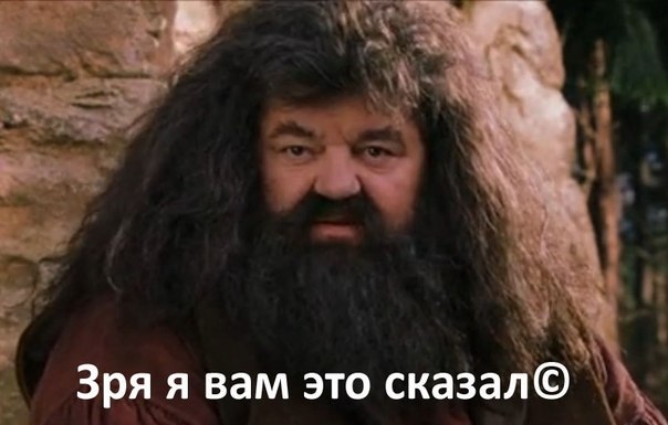 IMG_4742.jpeg