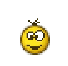 IMG_8050.gif