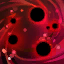 1718023767402.png