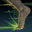 1749241076332.jpeg