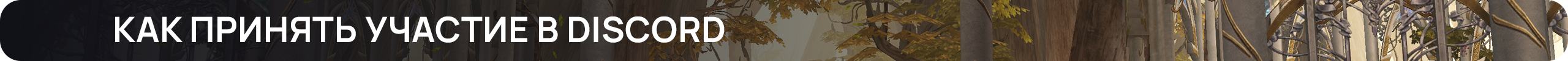 Как принять участие в Discord.png