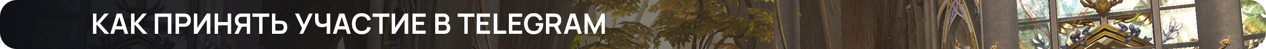 Как принять участие в Telegram.png