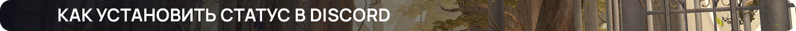 Как установить статус в Discord.png