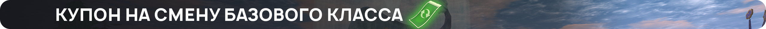 купон.png