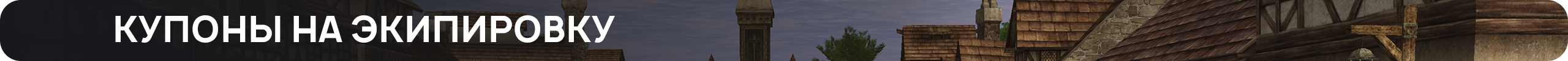 купонынаэкипировку.png