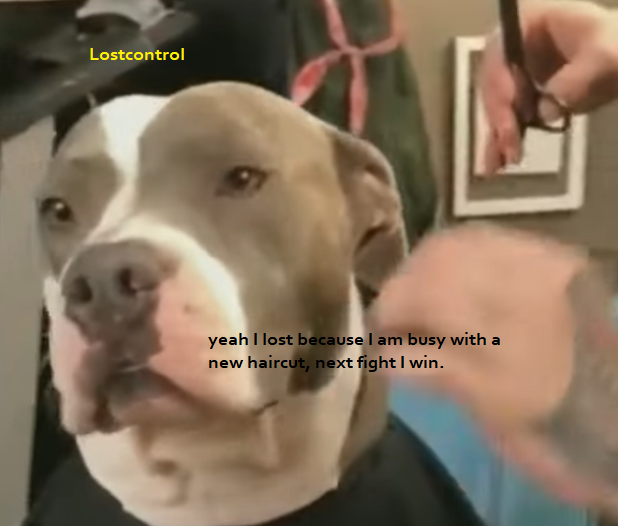 lostdogtrol.png