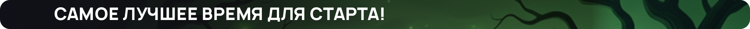 лучшее время для старта.png