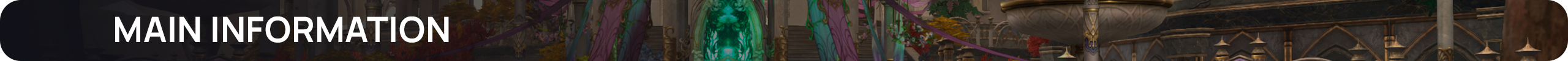 Main Information.png