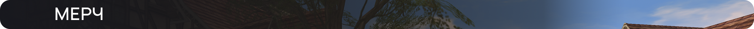 Мерч.png