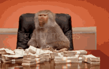 money-monkey.gif