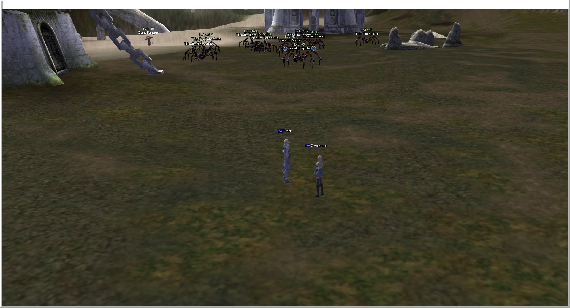 Море Спор.jpg