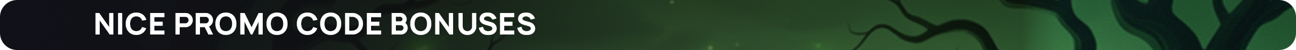 Nice promo code bonuses.png