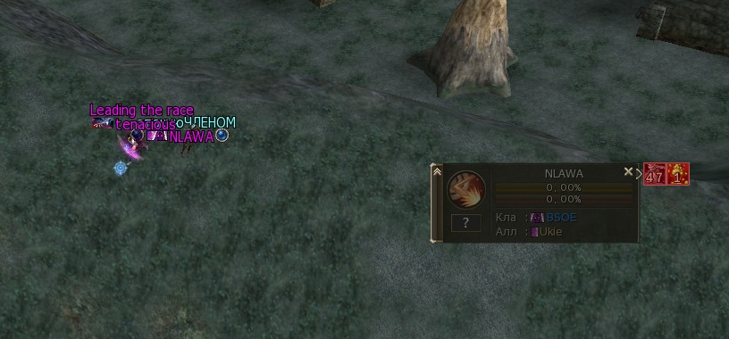 nlawa12.jpg