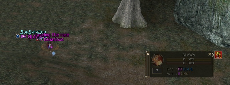 nlawa2.jpg