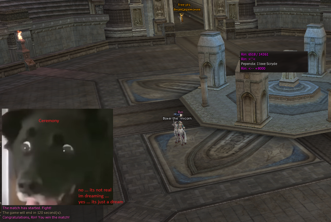 not a dream doggo.png