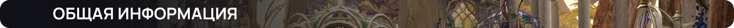 Общая информация.png