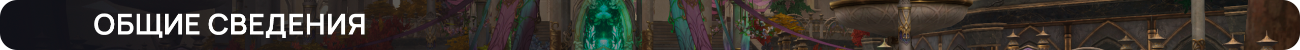 Общие сведения_.png