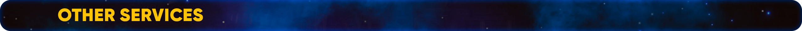 Other services.png