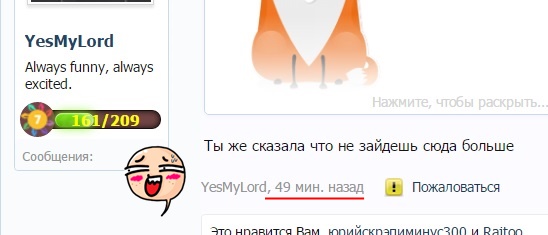 p2.jpg